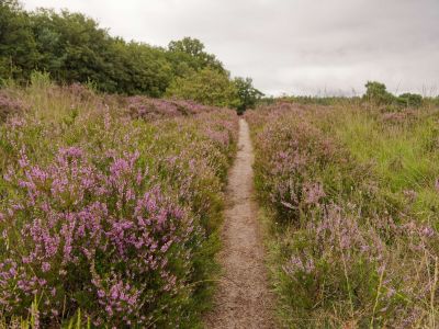 250817 verborgendorp dxo