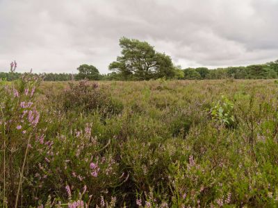 250817 verborgendorp dxo