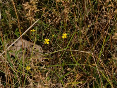 250817 verborgendorp dxo