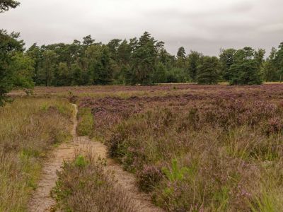 250817 verborgendorp dxo