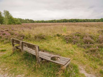 250817 verborgendorp dxo