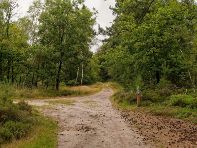 250817 verborgendorp dxo