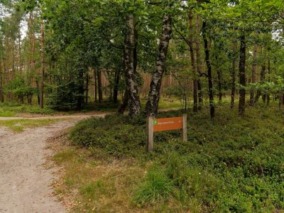 250817 verborgendorp dxo