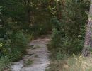 p1161484 dxofb
